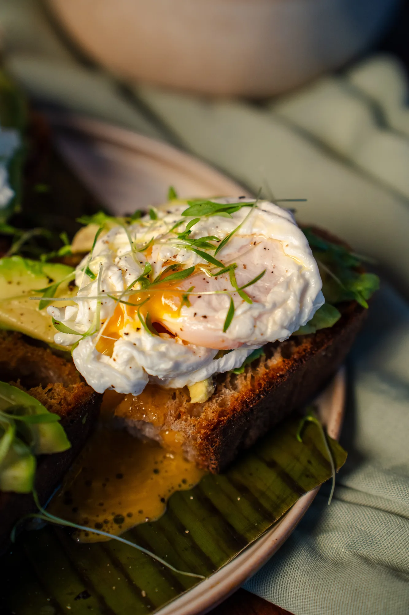 Poached egg avocado toast